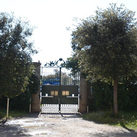 Villa Anselmi - Arteindiretta ลีวอร์โน ภายนอก รูปภาพ