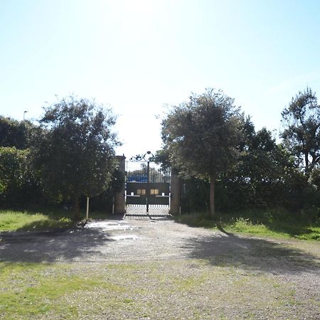 Villa Anselmi - Arteindiretta ลีวอร์โน ภายนอก รูปภาพ